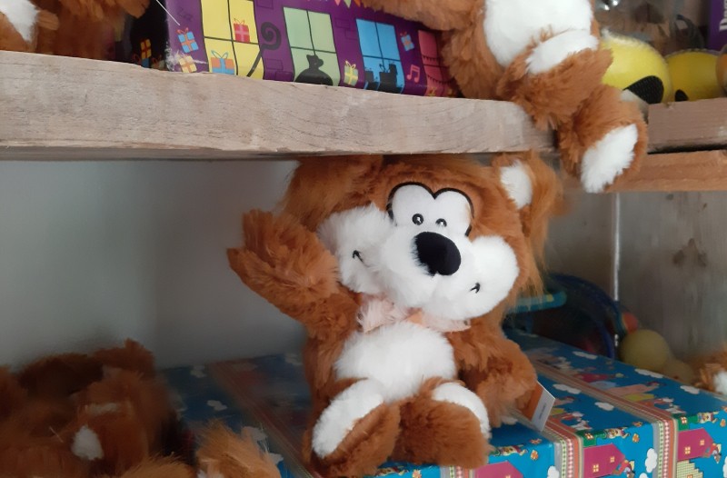 Sinterklaas kado Heggie (4).jpg